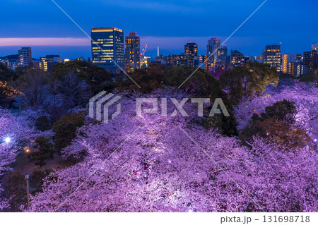 《福岡県》舞鶴公園天守台の眺望・満開の桜ライトアップ 《福岡県》舞鶴公園天守台の眺望・満開の桜ライトアップ 131698718