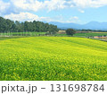 花畑 131698784