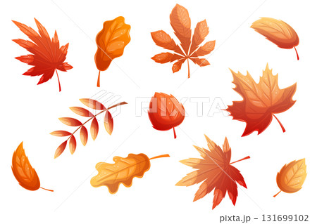 A set of colorful autumn leaves on a white background. Autumn foliage. Isolated vector illustration for the design of postcards, clothing, textiles, banners and posters. A set of colorful autumn leaves on a white background. Autumn foliage. Isolated vector illustration for the design of postcards, clothing, textiles, banners and posters. 131699102