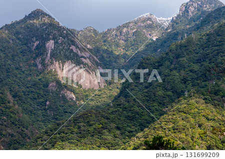 神が宿る　幻想神秘の山々　世界自然遺産屋久島(冬 131699209