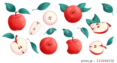 A set of apples on a white background. Whole apple, half apple, sliced apple, slices. Isolated vector illustration for the design of postcards, clothing, textiles, banners and posters. A set of apples on a white background. Whole apple, half apple, sliced apple, slices. Isolated vector illustration for the design of postcards, clothing, textiles, banners and posters. 131699250