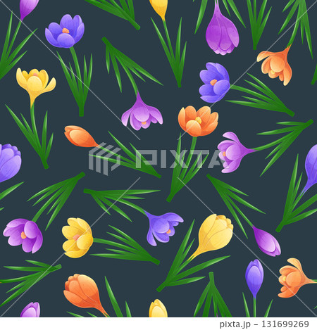 Seamless pattern with multicolored crocuses on...のイラスト素材 [131699269 ...