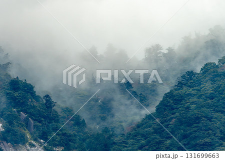 神が宿る　山と森　世界自然遺産屋久島(冬 131699663