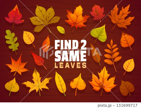 Kids game worksheet, find two same autumn fall season red, yellow, brown and orange falling leaves on wooden background. Cartoon vector educational puzzle or challenge match identical leaf shapes Kids game worksheet, find two same autumn fall season red, yellow, brown and orange falling leaves on wooden background. Cartoon vector educational puzzle or challenge match identical leaf shapes 131699717