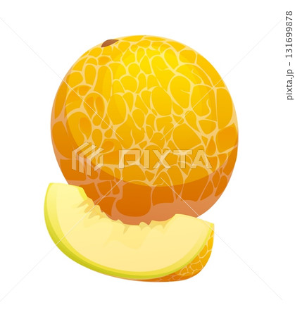 Cartoon cantaloupe melon tropical ripe raw fruit. Isolated vector fresh whole melon and slice with textured rind and pale greenish yellow flesh. Healthy food, summer dessert, vegetarian nutrition 131699878