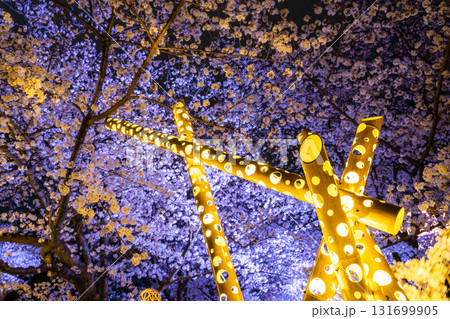 《福岡県》舞鶴公園・満開の桜ライトアップ 131699905