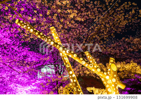《福岡県》舞鶴公園・満開の桜ライトアップ 《福岡県》舞鶴公園・満開の桜ライトアップ 131699908