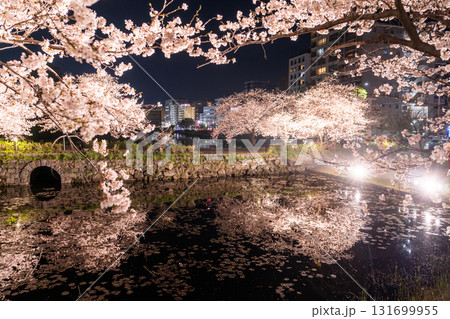 《福岡県》舞鶴公園・満開の桜ライトアップ 131699955