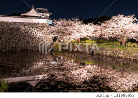 《福岡県》舞鶴公園・満開の桜ライトアップ 131699958