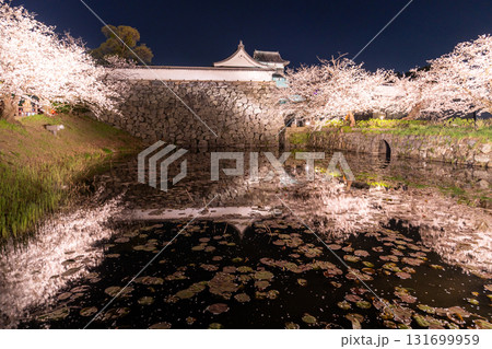 《福岡県》舞鶴公園・満開の桜ライトアップ 《福岡県》舞鶴公園・満開の桜ライトアップ 131699959