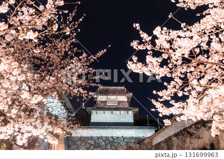 《福岡県》舞鶴公園・満開の桜ライトアップ 《福岡県》舞鶴公園・満開の桜ライトアップ 131699963