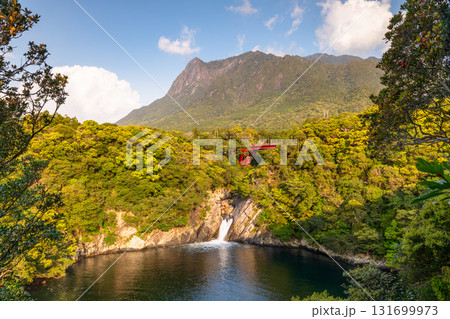 世界自然遺産モッチョム岳とトローキの滝　屋久島(春 131699973