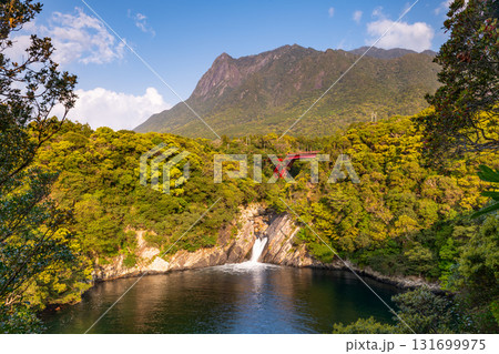 世界自然遺産モッチョム岳とトローキの滝　屋久島(春 131699975
