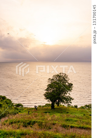 【熊本県宇土市】御輿来海岸展望所の眺め 夕景 【熊本県宇土市】御輿来海岸展望所の眺め 夕景 131700145