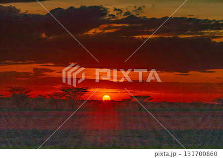 Kenya East Africa Landscapes Kalokol Lodwar Town Turkana Sunset Sunrise Highway Road Field Travels 131700860