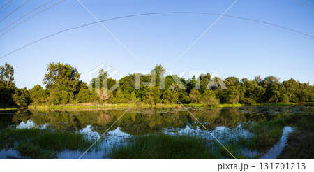 Karura forest landscapes field waterfalls ponds lakes vegetation Kenya East Africa 131701213