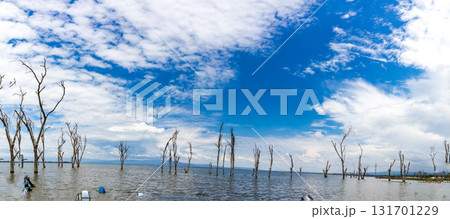 Lake Naivasha Nakuru City County Kenya East Africa Landscapes 131701229
