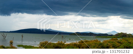 Lake Naivasha Nakuru City County Kenya East Africa Landscapes Lake Naivasha Nakuru City County Kenya East Africa Landscapes 131701232