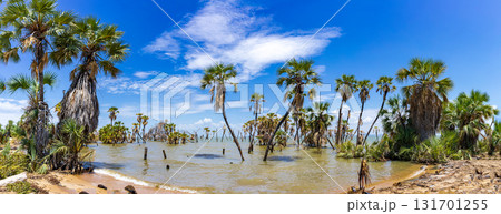 Lake Turkana Eliye Springs Beach Lodwar Landscapes Waterscape Lake Turkana Eliye Springs Beach Lodwar Landscapes Waterscape 131701255