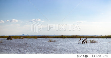 Lake Turkana Lodwar Kalokol Town Landscapes Waterscape Kenya East Africa 131701260