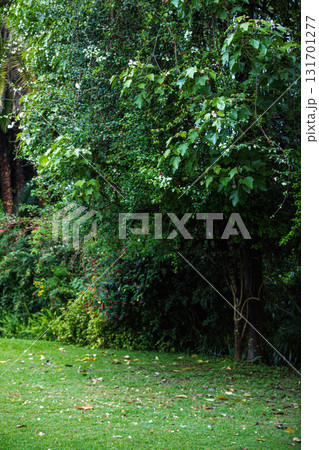 Kenya Landscapes Discover Documentary Panoramic Scenic Views East Africa Kenya Landscapes Discover Documentary Panoramic Scenic Views East Africa 131701277