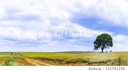 Malaso World End Viewpoint Samburu County By Antony Trivet Travels Documentary In Kenya Photography Landscapes Malaso World End Viewpoint Samburu County By Antony Trivet Travels Documentary In Kenya Photography Landscapes 131701293