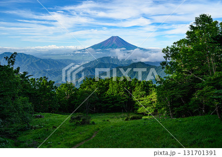 夏の雁ヶ腹摺山から見る富士山と山並みの絶景 131701391