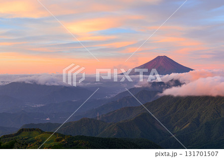 夏の早朝・雁ヶ腹摺山から見る富士山と山並みの絶景（秀麗富嶽十二景） 131701507