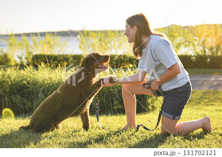 Portrait of one brown portuguese water dog outdoors on grass with little child girl Portrait of one brown portuguese water dog outdoors on grass with little child girl 131702121