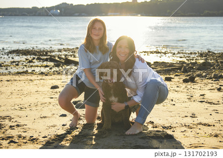 brown portuguese water dog outdoors on the beach with mother and daughter 131702193
