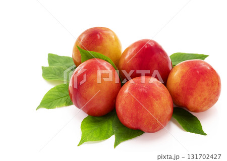 白バックのプラム 131702427