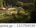 初秋の高山本線 131704590