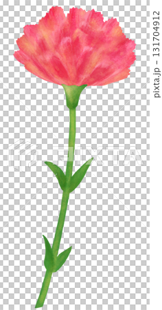 一朵紅色康乃馨的插圖 一朵紅色康乃馨的插圖 131704912