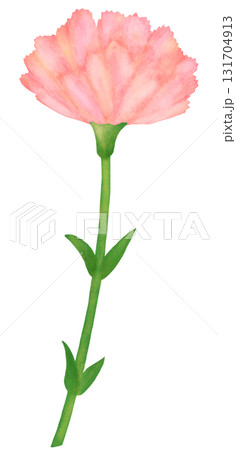 一輪のカーネーションのイラスト ピンク色 131704913