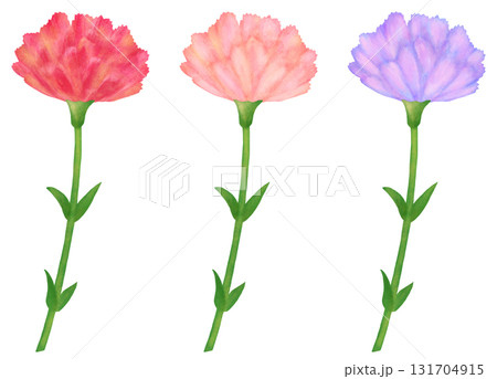 カーネーションのイラストセット 赤・ピンク・紫 131704915