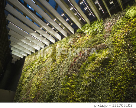 Office biophilic design using commercial wall space with botanical wall plants decor 131705102