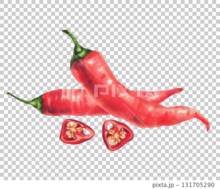 Hot chili pepper. Ripe paprika vegetable, realistic spicy spices. Watercolor painted whole and slices cut pods with seeds. Isolated from background illustration for food, sauces label, cooking recipe Hot chili pepper. Ripe paprika vegetable, realistic spicy spices. Watercolor painted whole and slices cut pods with seeds. Isolated from background illustration for food, sauces label, cooking recipe 131705290
