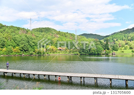 釣り桟橋越しに見る聖湖と対岸の緑地公園 131705600