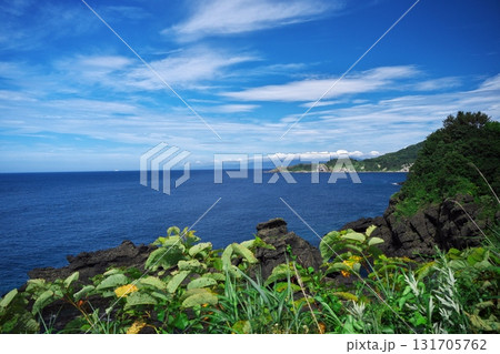 夏の津軽半島　鋳釜崎キャンプ場から高野崎を望む 131705762