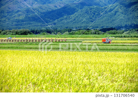 実りの秋 131706540