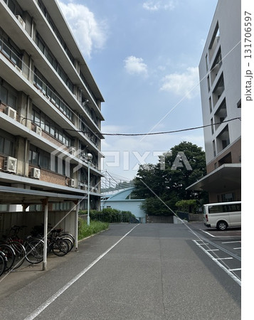 東京大学　野球部　野球グラウンド 131706597