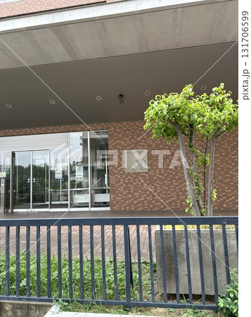 東京大学　野球部　野球グラウンド 131706599