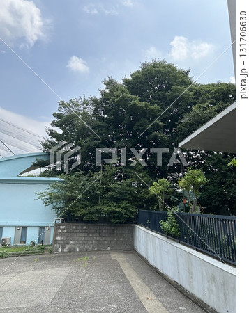 東京大学　野球部　野球グラウンド 131706630