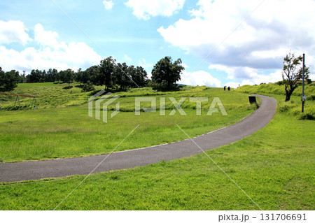 大分県玖珠町　伐株山山頂の緑の草原　爽やかな風景 131706691
