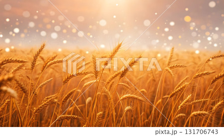 Golden wheat field under sunlight with sparkling particles in the air during sunset Golden wheat field under sunlight with sparkling particles in the air during sunset 131706743