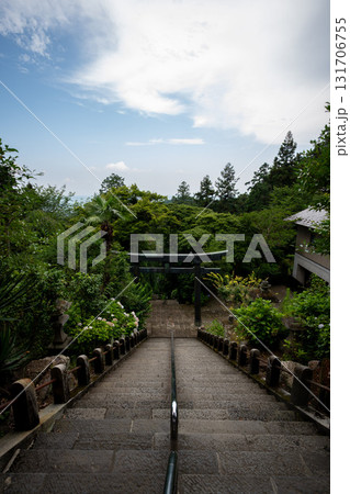 大平山神社のあじさい坂 大平山神社のあじさい坂 131706755