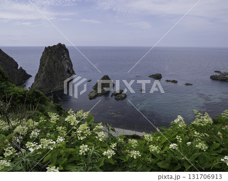 島武意海岸 展望台から見た雄島 131706913