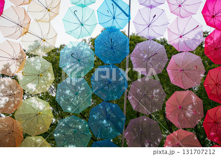 黒羽城址公園の傘 黒羽城址公園の傘 131707212