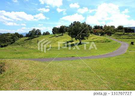 大分県玖珠町　伐株山山頂の緑の草原　爽やかな風景 131707727