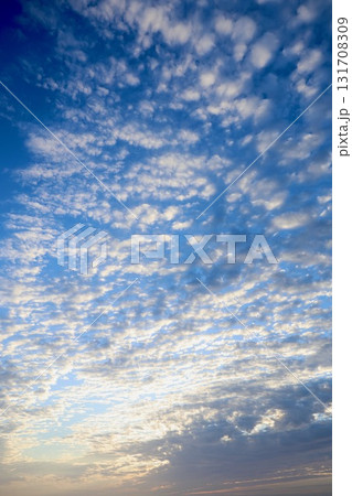 秋の朝焼け空 秋の朝焼け空 131708309